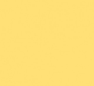 L6063 - Amarelo Limão