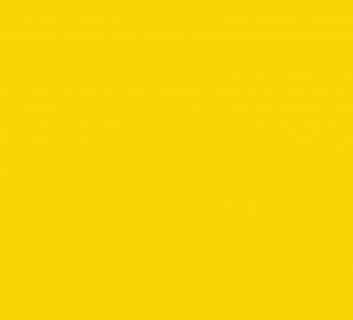 L12081 - Amarelo Sol