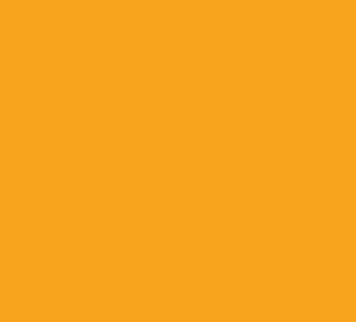 L4136 - Amarelo Torrado